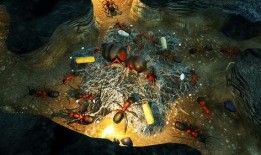 地下蚁国最新的版本爆料,揭秘最新版本中的神秘蚁国世界